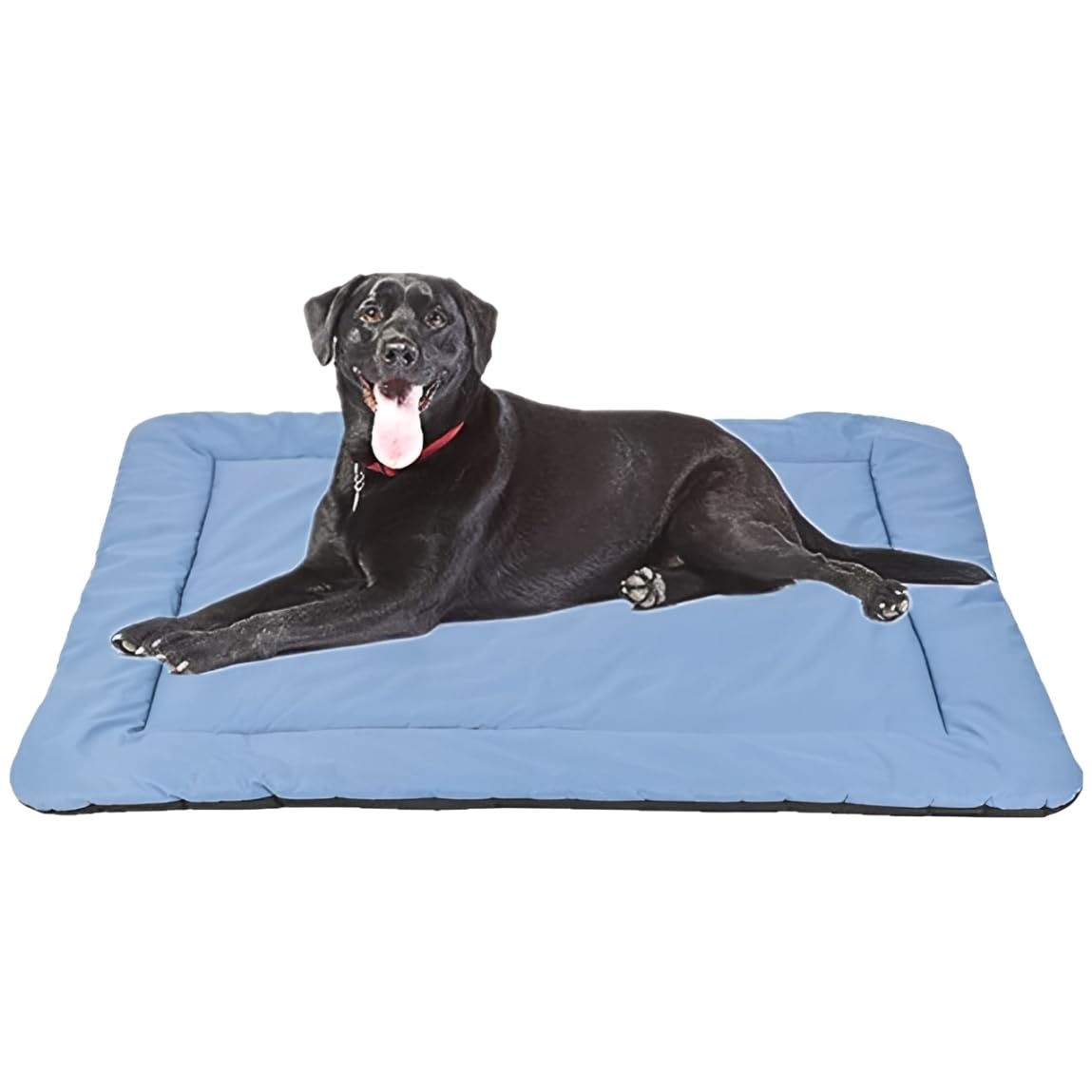 CHEERHUNTING Camping Dog Bed Pet Bed 40   X32   , Outdoor, Waterproof, Washable, Water-Resist, Large, Durable, Portable Travel P