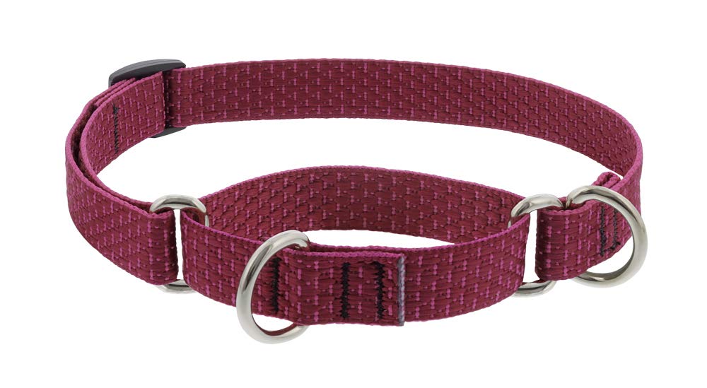 Martingale Dog Collar by Lupine ECO Collection 3/4 Wide Berry adjusts 14 to 20