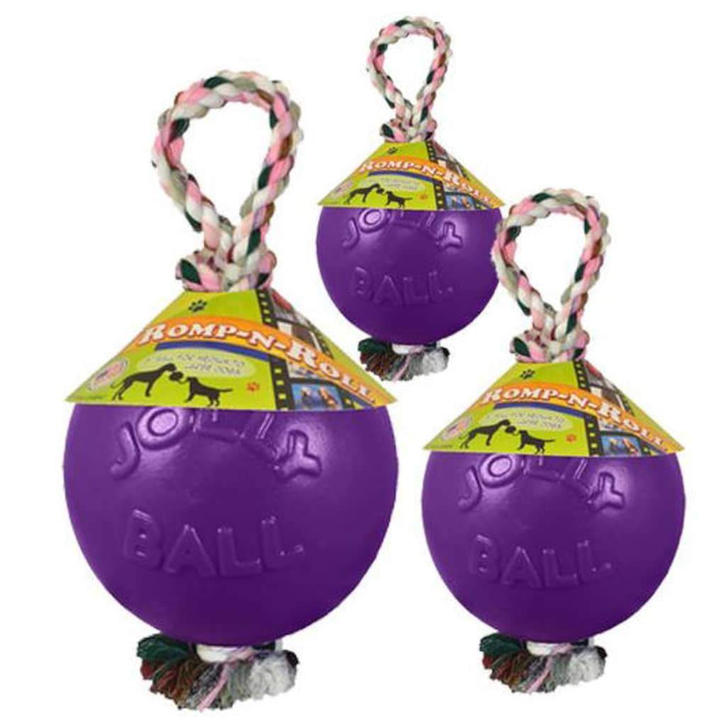 Jolly Pets Romp-N-Roll Rope And Ball Dog Toy, 8 Inches/Large, Purple, Large Breeds