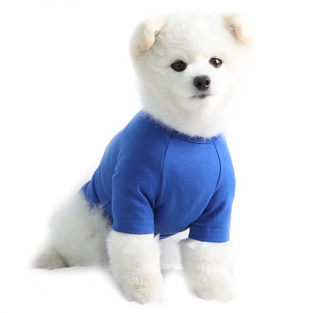 Lucky Petter Dog Shirt For Small Dogs Plain T-Shirts Soft Breathable Dog Cotton Shirt Pet Clothes (Small, Blue)