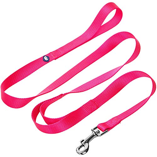 Blueberry Pet Essentials Durable Classic Dog Leash 4 Ft X 1', French Pink, Large, Double Handle Leashes For Dogs