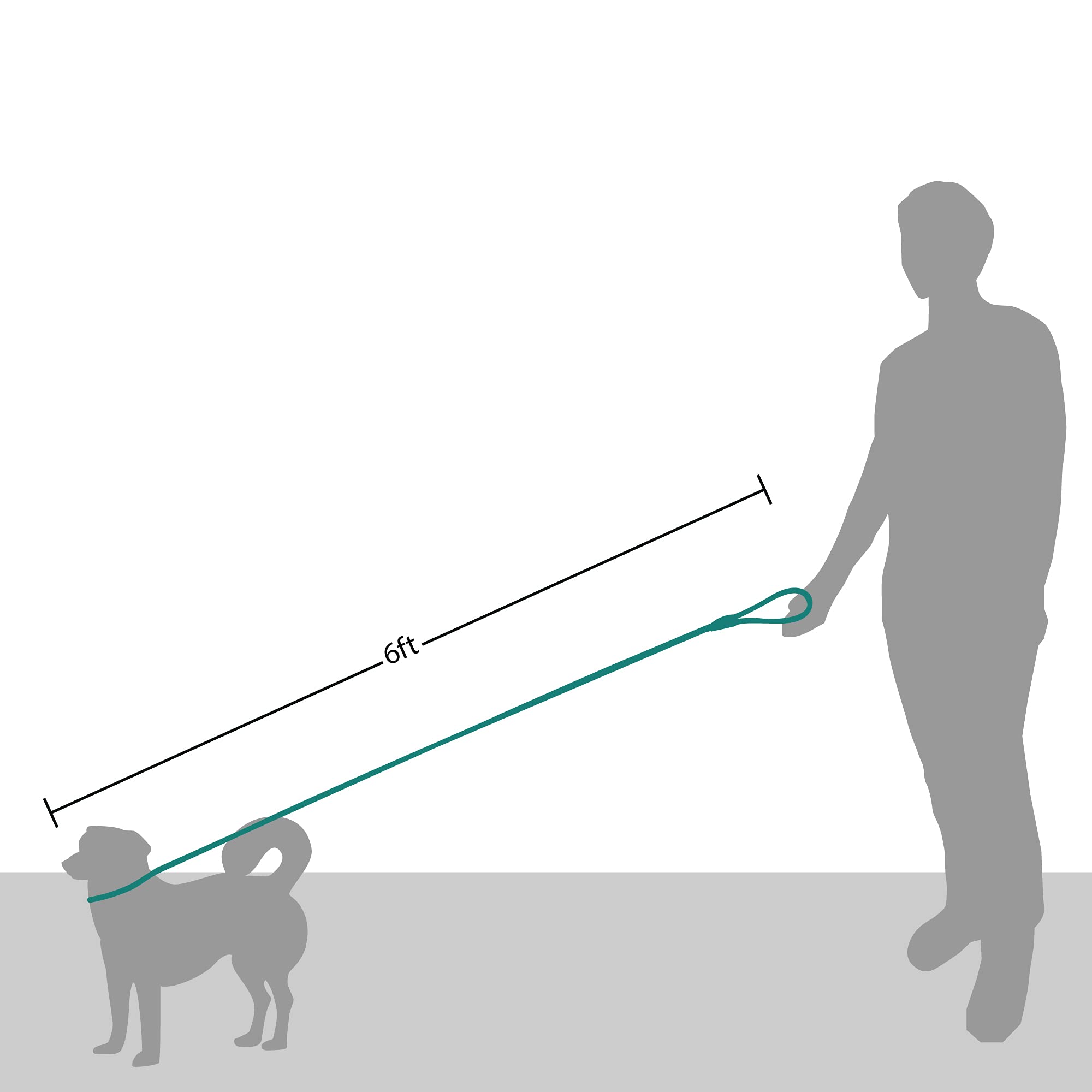 Friends Forever Dog Rope Leash - Durable Reflective Slip Lead, 6ft Nylon, Blue, Heavy Duty for Large & Medium Pets