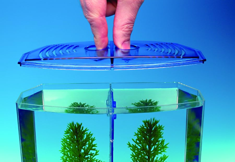 Penn-Plax Twin Betta Bow-Front Kit For Aquarium Blue, Green, Tank Is 7.5' Across The Front, 6' Across The Back