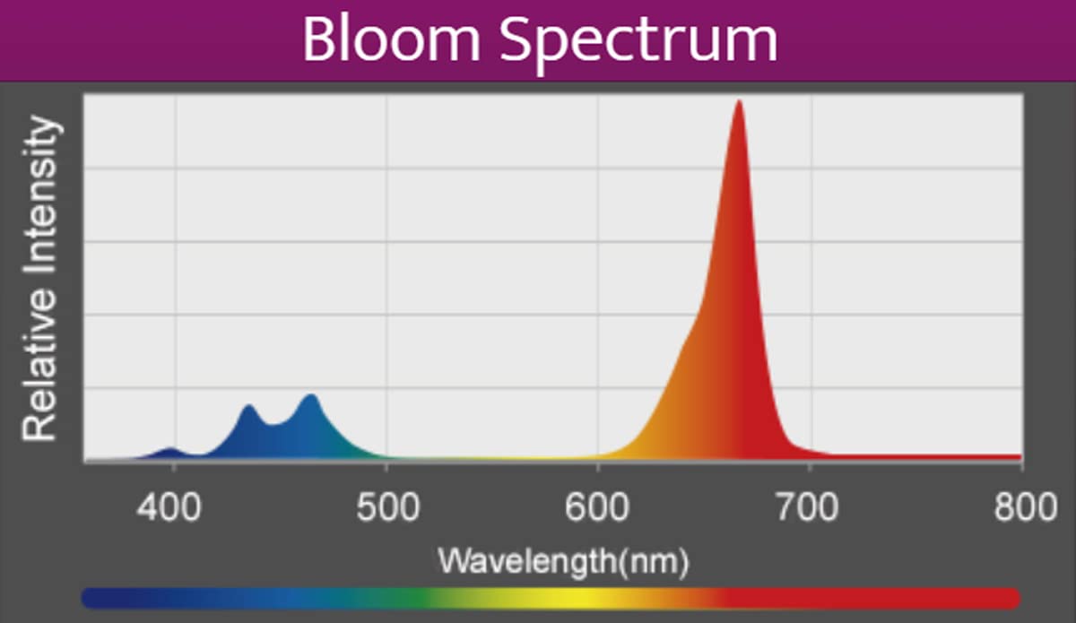 Kessil A360X Refugium Led Light