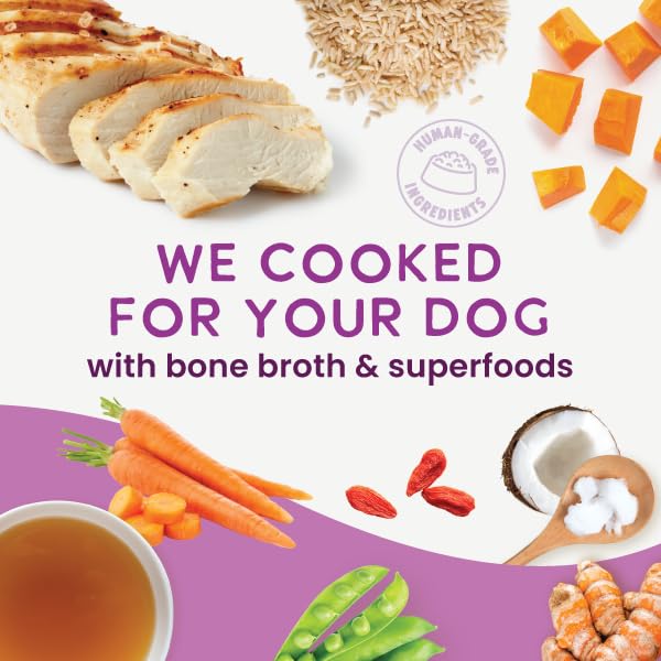 Health Extension Gently Cooked Chicken & Pumpkin Dog Food, Human-Grade & Shelf-Stable with Superfoods, Supports Digestion, Immun