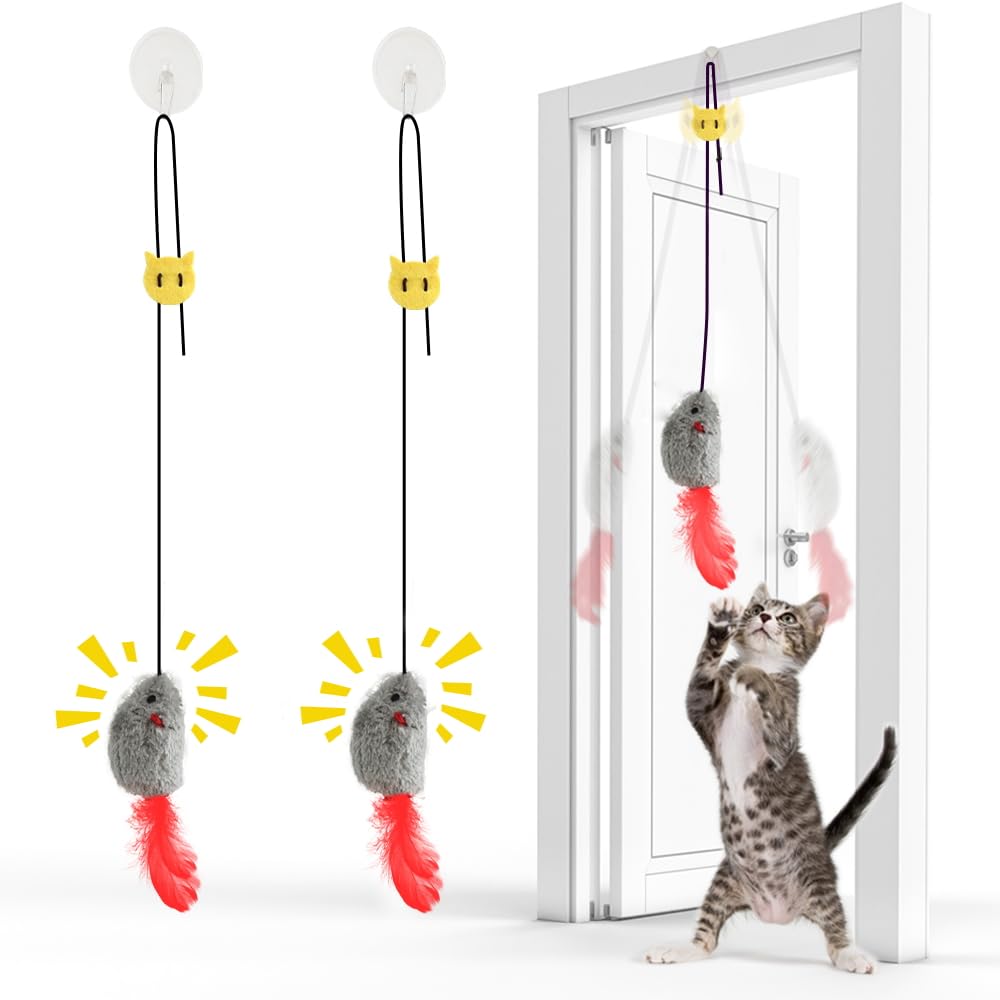 FYNIGO Self Play Cat Toys,2 Pack Door Hanging Cat Mouse Toy with Squeaky Sound,No Batteries Required,Interactive Cat Enrichment 