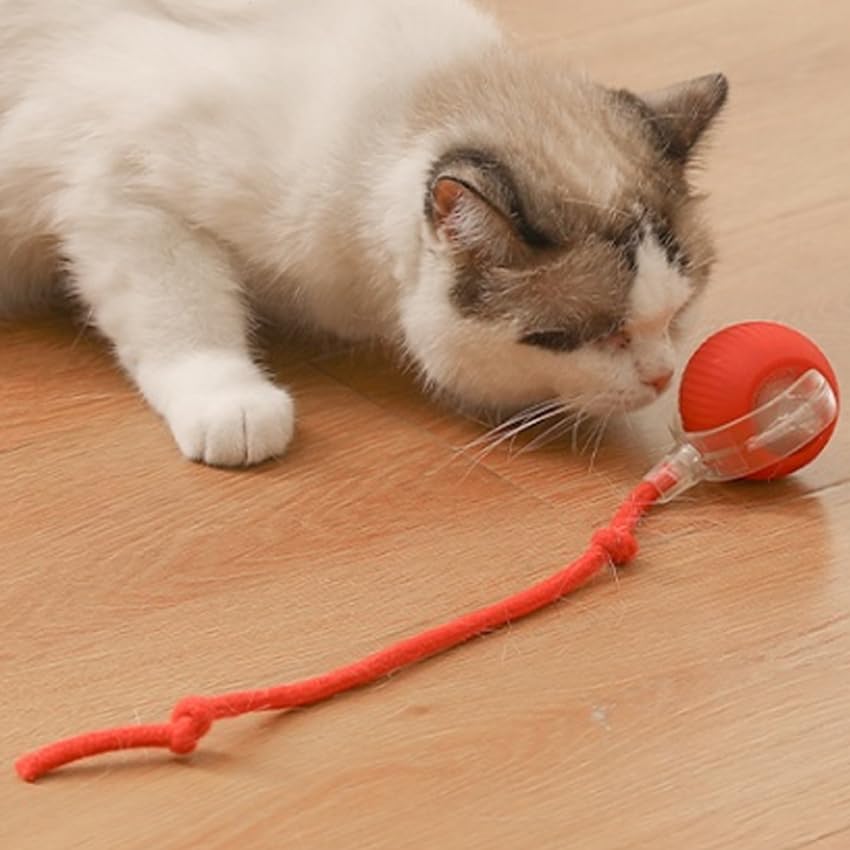 Cat Toy Ball With Tail Rope, Smart Rolling Ball, Led Light, Electric Self-Rolling Pet Toy, Interactive Cat Jumping Ball, Automat