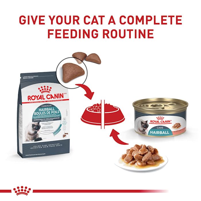 Royal Canin Feline Care Nutrition Hairball Care Adult Dry Cat Food, 3 lb Bag