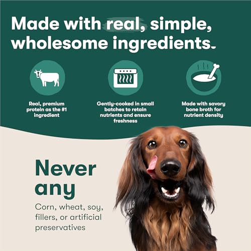 Jinx Beef Grain Free Wet Dog Food Pouches, Meal or Dog Food Topper Mix-in, Made with Real Beef & Chicken, Bone Broth, No Fillers