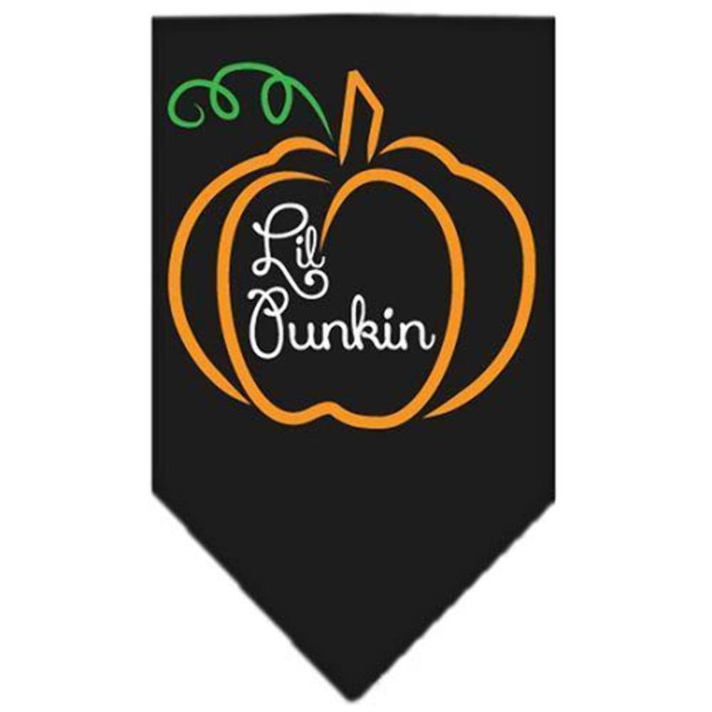 Halloween Pet and Dog Bandana Screen Printed, Lil Punkin Black Large
