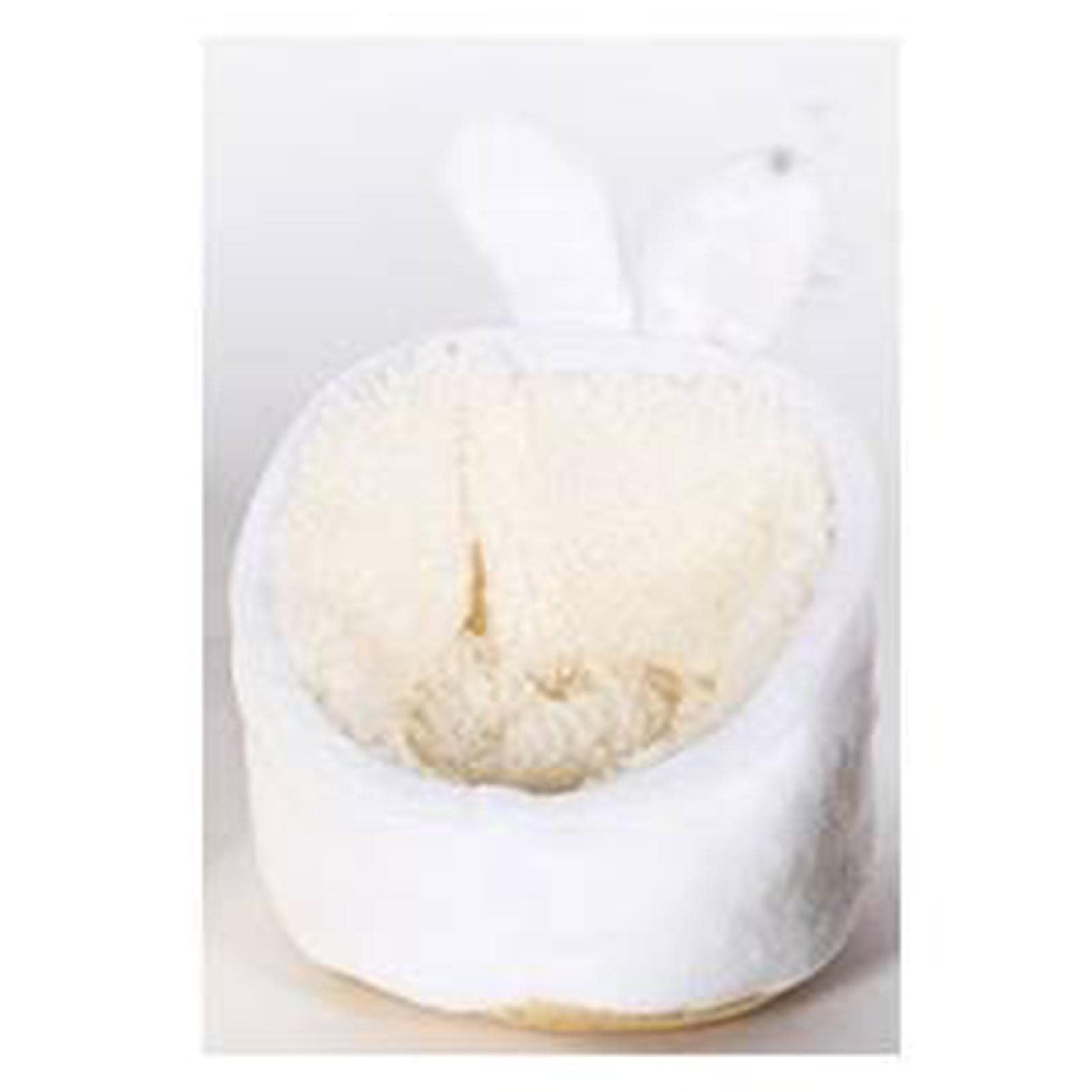 CALANDIS Pet Guinea Pig Nest Hamster House Accessories for Hedgehog White