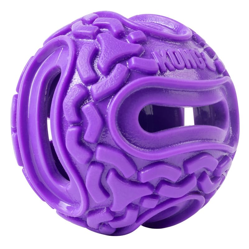 KONG Squeezz Flex Ball – Interactive Dog Toy, Medium/Large, Purple, Thermoplastic Rubber, Holds Treats & Chews, Model PCF21