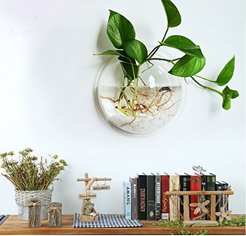 Prugna Wall-Hanging Fish Bowl Acrylic Wall-Mounted Plant Pot 1 Gallon Fish Tank 11.5-Inches Decoration Planter