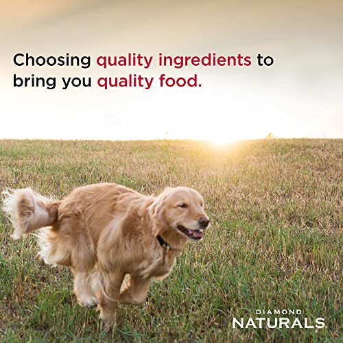 Diamond Naturals Dry Dog Food, Large Breed Chicken Formula, 40 lb Bag, Model 838_40_DBD