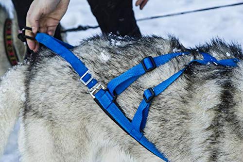 Neewa Adjustable Sled Pro Harness (Large, Yellow), Dog Harness Large Breed, Dog Pulling Harness, Giant Dog Harness, Sled Harness For Pulling, Great For Dog Joring