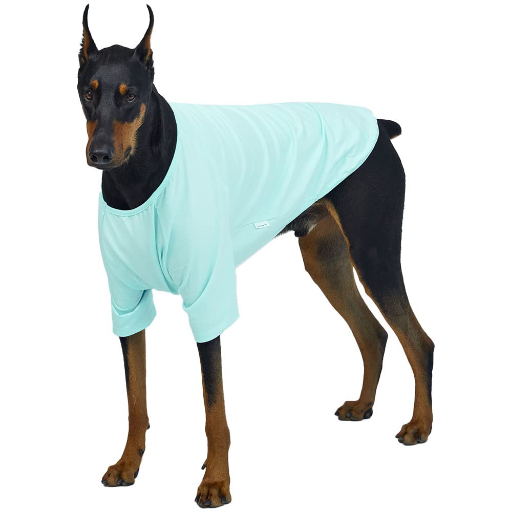 Lucky Petter Dog Shirt For Small Dogs Plain T-Shirts Soft Breathable Dog Cotton Shirt Pet Clothes (3X-Large, Mint)