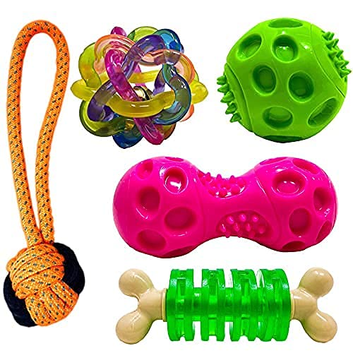 RvPaws Dog Chew Toys for Puppies & Small Breed Dogs (Includes Squeaky Ball, Intractive Ring, Squeaky Dumbbell, Intractive Dumbbe