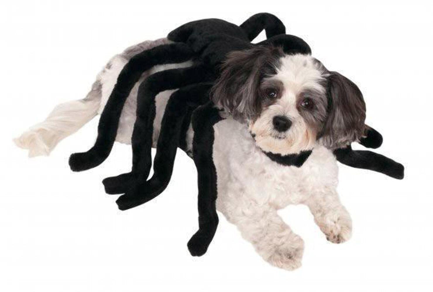 Rubie'S Spider Pet Harness Costume, Medium