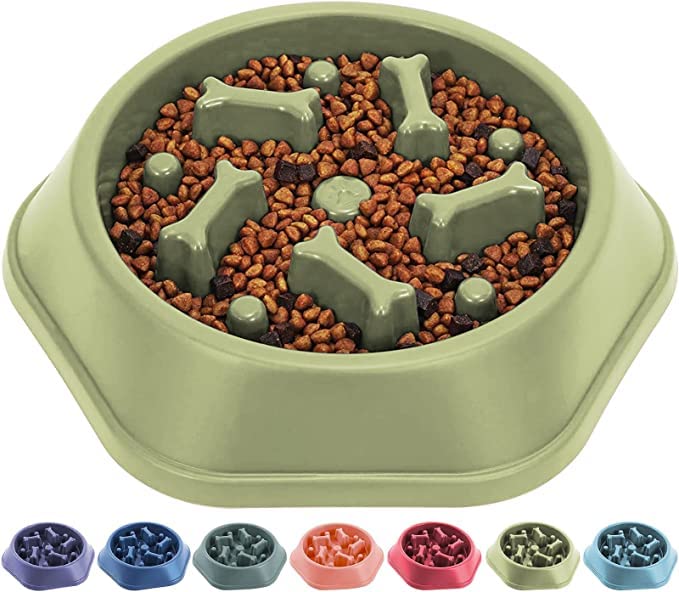 Rvpaws Slow Feeding Pet Bowl, No Choking Round Feeder Bowl With Bone Pattern Interactive Treat Bowl For Dogs (Light Green)