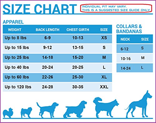 Pets First Sea-4000-Xxl Seattle Seahawks Mesh Jersey, Xx-Large Size, Multicolor, One Size