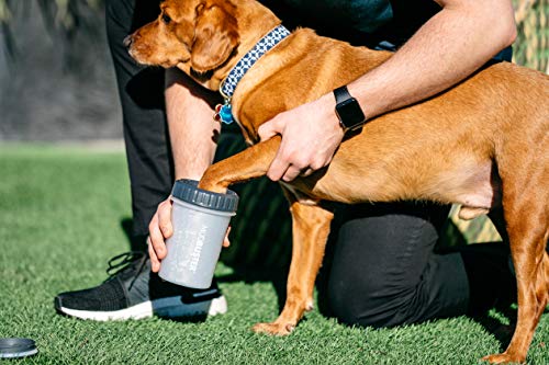 Dexas Lidded Mudbuster Portable Dog Paw Cleaner, Light Gray, Large With Lid