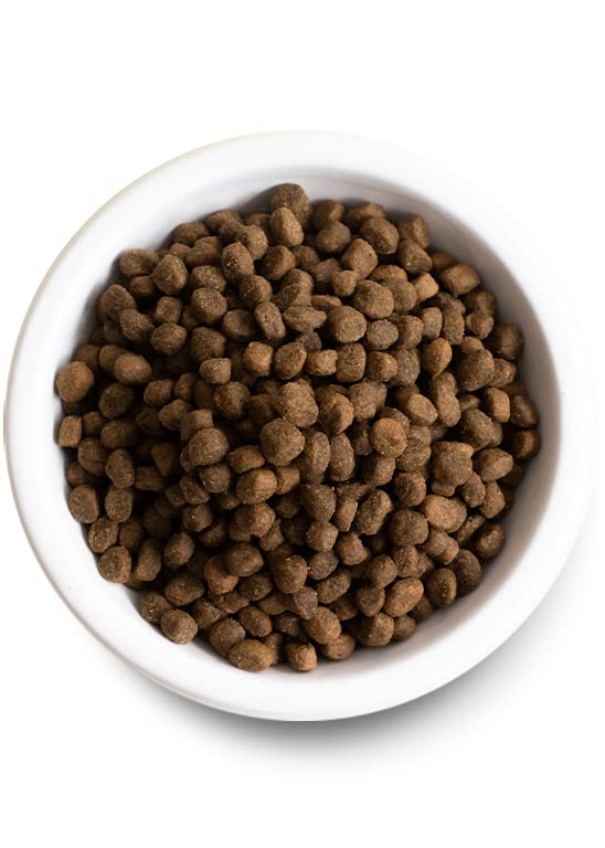 Open Farm Ancient Grains Dry Dog Food, Humanely Raised Meat Recipe with Wholesome Grains and No Artificial Flavors or Preservati
