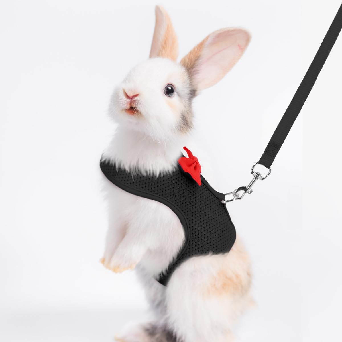 Rabbit Harness And Leash Set For Walking Escape Proof, Mesh Breathable Adjustable Rabbit Leash Camping Hiking Training For Ferre