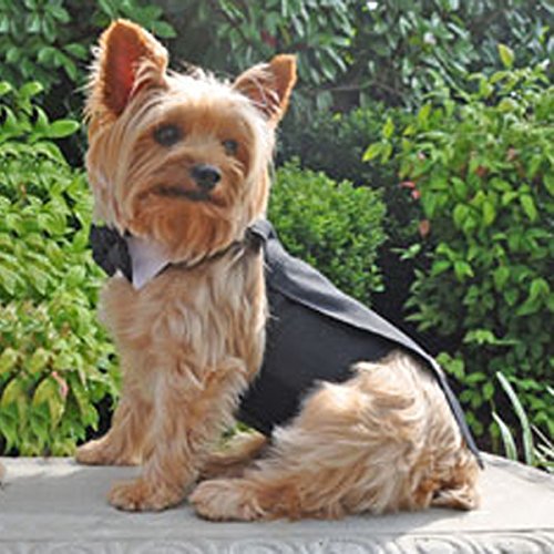 Doggie Design Black Formal Tuxedo Dog Harness with Tails, in Size Medium (Chest 16-19'' Neck 13-16'' - Pets weighting 11-15lbs)