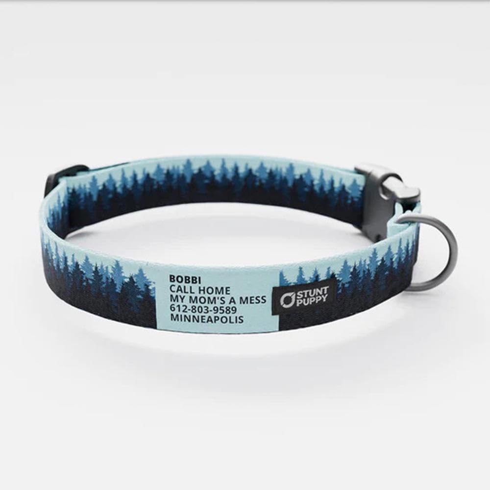 Pines Blue Everyday Collar, Small