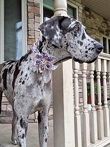 Uniqe Style Paws Flower Dog Collar, Rose Adjustable Girl Dog Collar With Flower, Durable Floral Pattern Pet Collar For X-Large Female Dogs