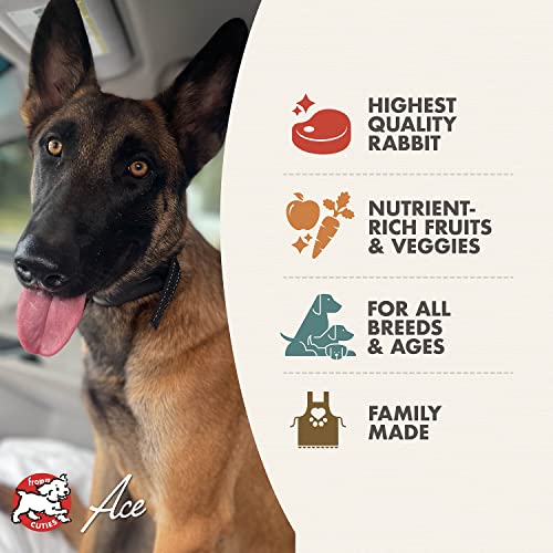 Fromm Four-Star Nutritionals Hasen Duckenpfeffer Dog Food - Premium Dry Dog Food - Rabbit Recipe - 26 lb