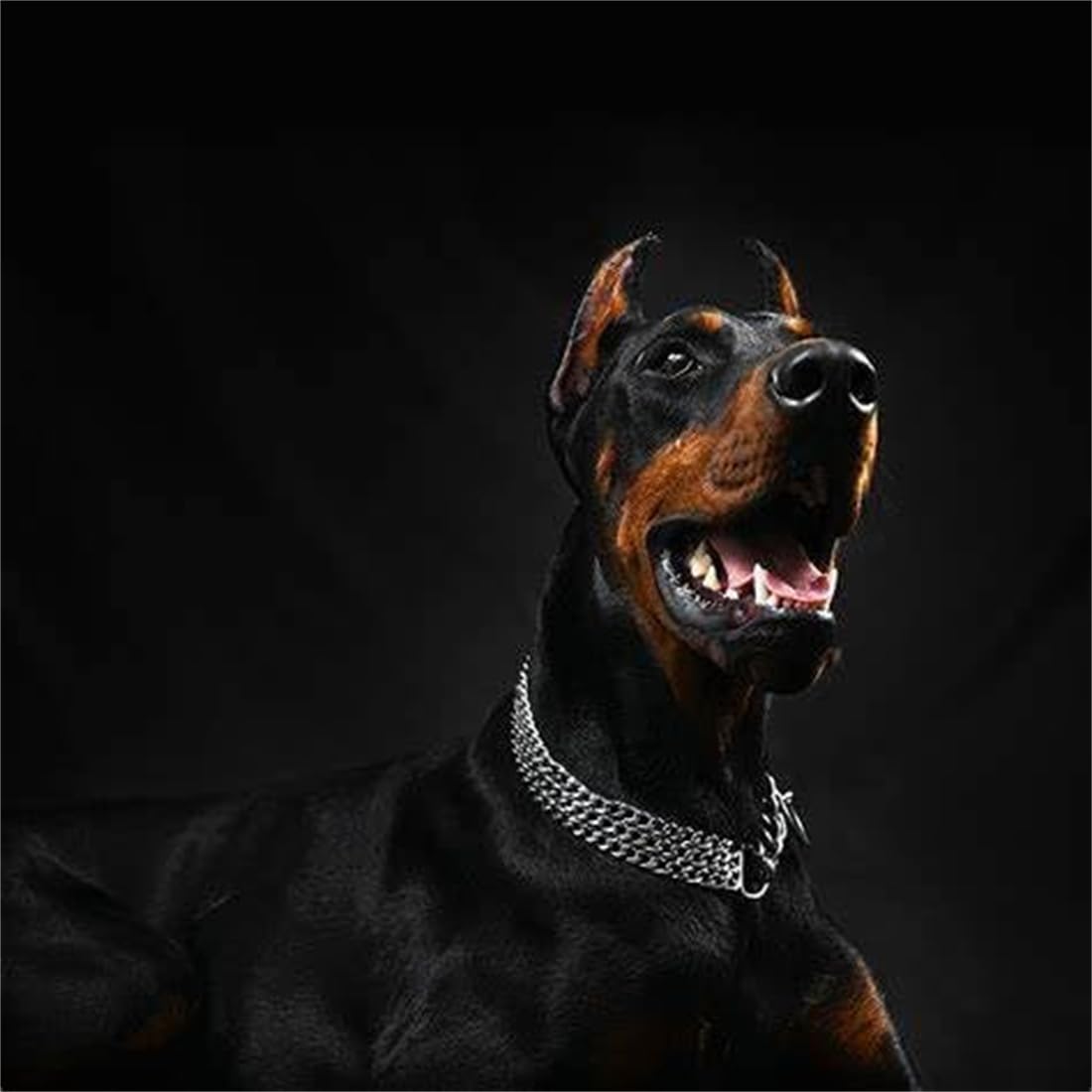 Silver Choke Collar For Dogs,3 Rows Stainless Steel Dog Chain Chew Proof Cuban Link Metal Martingale Collar Heavy Duty Training