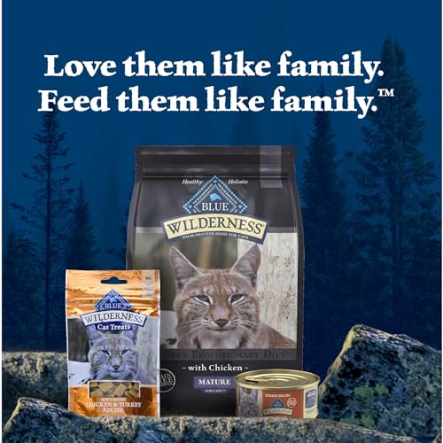Blue Buffalo Wilderness Natural High-Protein Grain-Free Wet Food for Adult Cats, Turkey Pat  , 5.5-oz. Cans, 24 Count