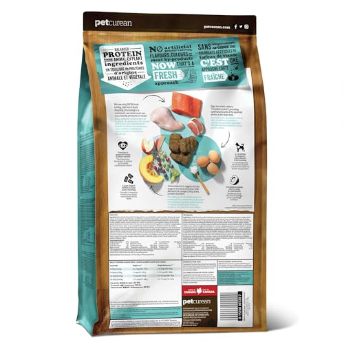 Now Fresh Grain-Free Large Breed Dry Dog Food with Turkey, Salmon & Duck, Premium Kibble for Adults with Real Poultry & Fish, Ch