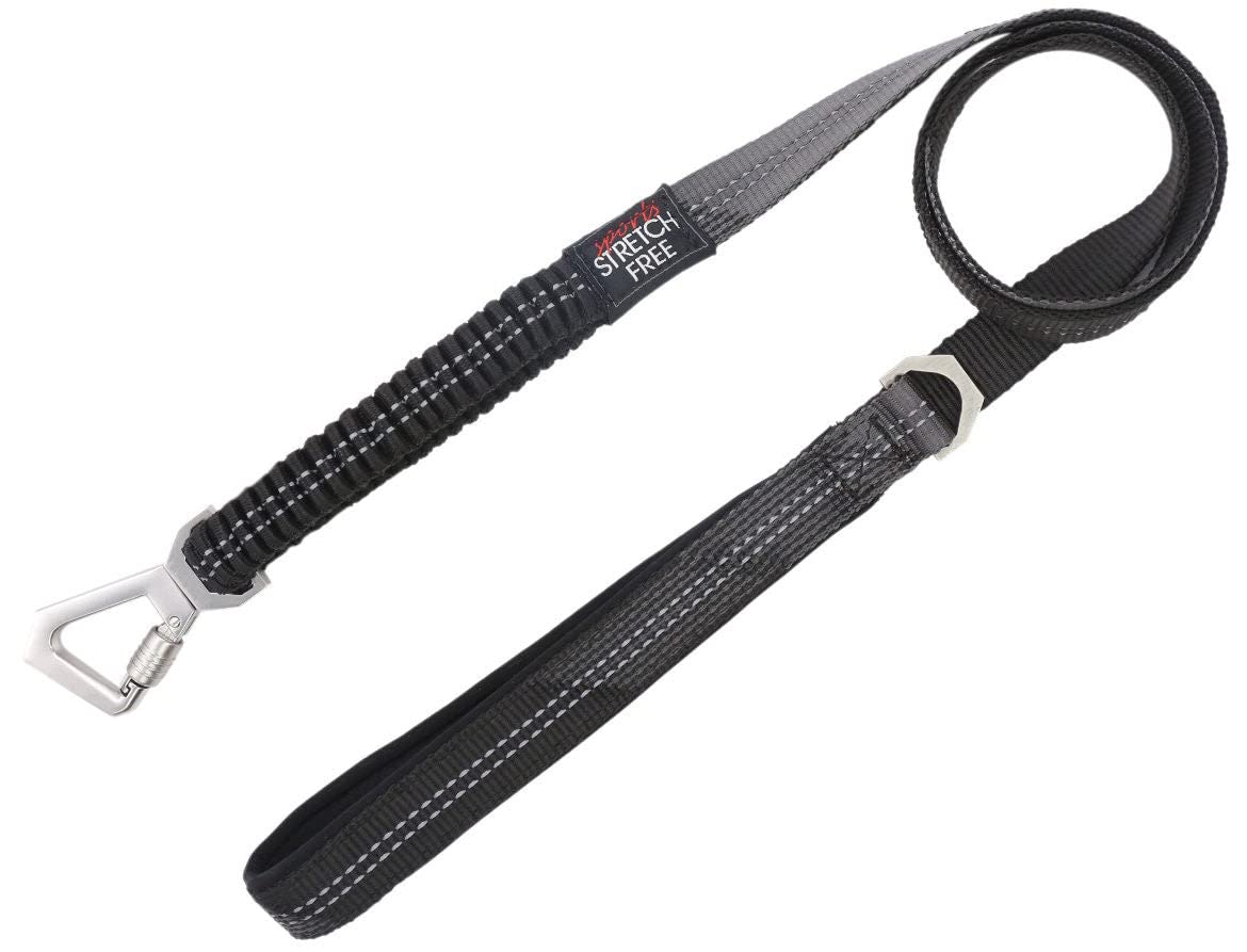 Pet Life  Geo-prene 2-in-1 Shock Absorbing Neoprene Padded Reflective Dog Leash and Harness