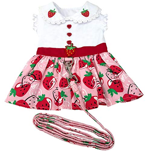 Strawberry Picnic Dog Dress With Matching Leash (Medium)
