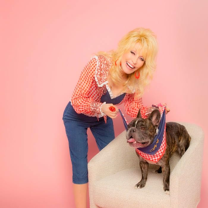 Doggy Parton Blue Denim & Gingham Bandana for Pets, X-Small/Small - Stylish Pet Accessory