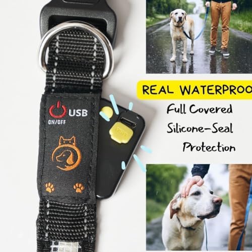 Led Dog Collar, Usb Rechargeable Light Up Dog Collar Lights, Light Up Glowing Waterproof With Remote Collars For Dogs