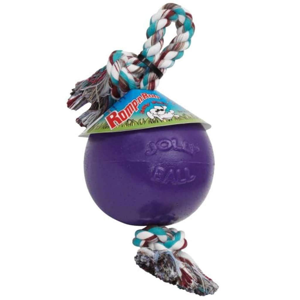 Jolly Pets Romp-N-Roll Rope And Ball Dog Toy, 8 Inches/Large, Purple, Large Breeds
