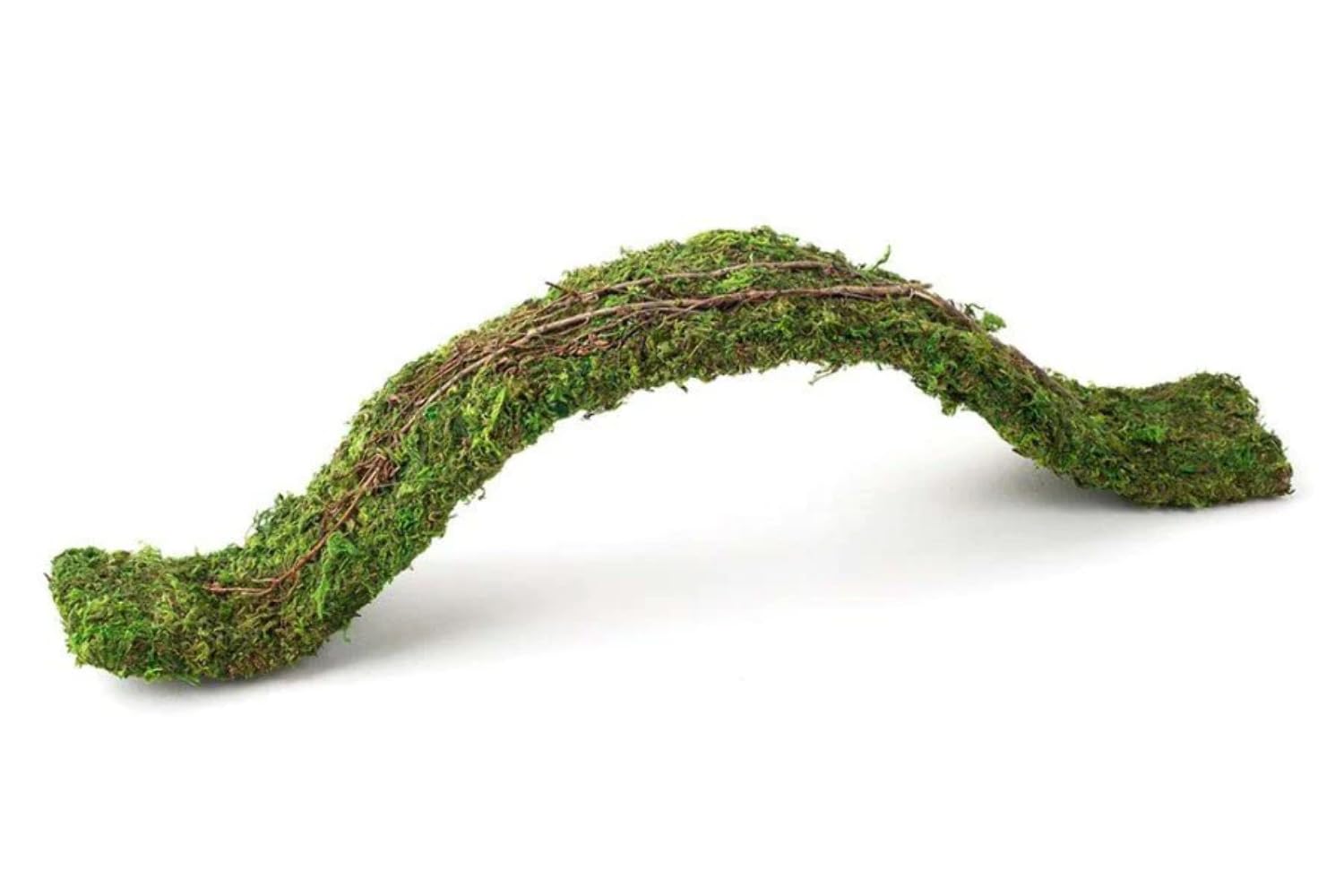 Natural Pack Galapagos 50705308: Flexible Bridge Terrarium Ornament, Green 24In