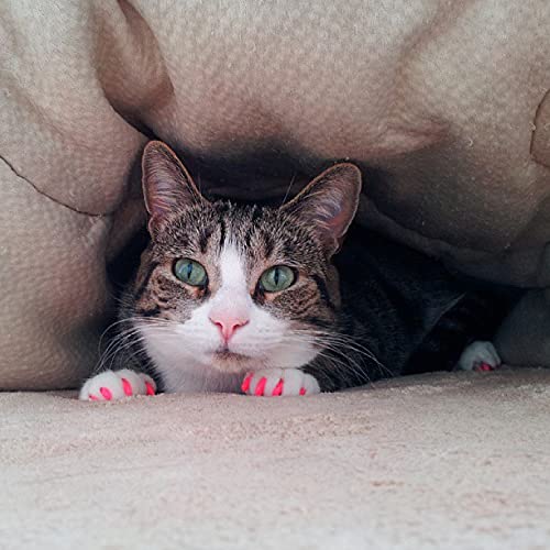 Purrdy Paws Soft Nail Caps For Cat Claws Green Glitter Large
