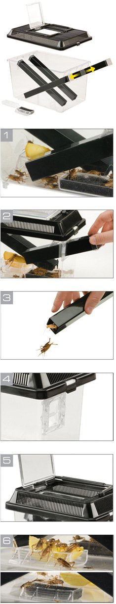 Exo Terra Cricket Pen Size: Large (12 x 8 x 7.6)