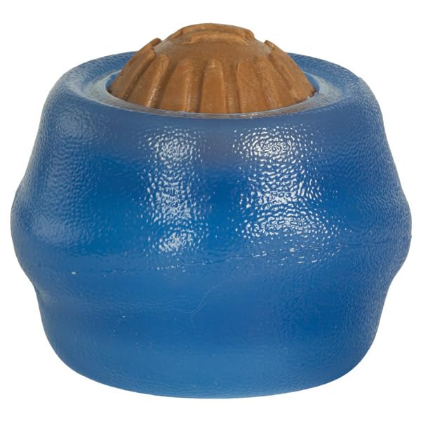 Everlasting Treat Ball