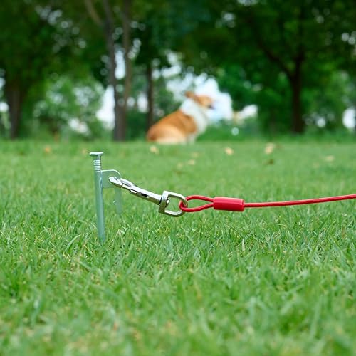 Amazon Basics Tie-Out Cable for Dogs, 30 Feet, Alloy Steel, Red, Model 30125-APL, Supports Dogs up to 56.7kg