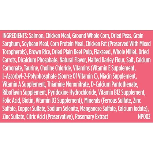 Nutrish Rachael Ray Real Salmon, Veggies & Brown Rice Recipe Dry Dog Food, 5.5 lb. Bag