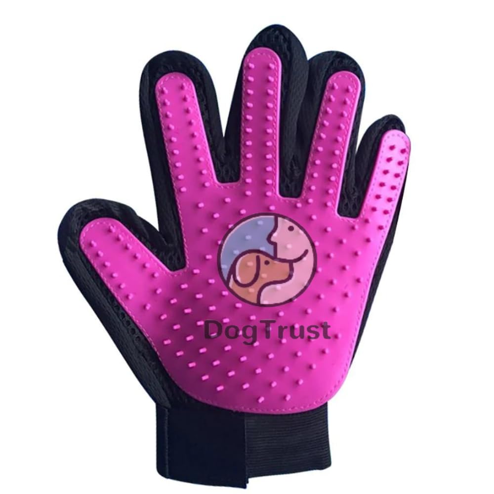 Dog Trust Pet Grooming Glove | Pet Brush Glove | Premium DeShedding Glove For Easy, MessFree Grooming With 260 Tips | Grooming