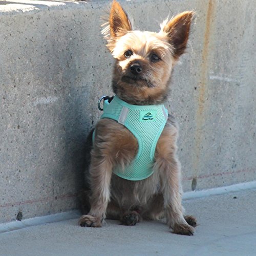 Doggie Design American River Step In Wrap Up Ultra Choke-Free Mesh Dog Harness With Safe Night Walking Reflective Strips (Soft Mesh Polyester, Machine Wash And Line Dry) (2Xl, Teal)