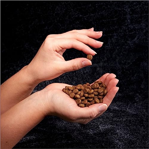 CRAVE Grain Free High Protein Adult Dry Dog Food, Beef, 22 lb. Bag