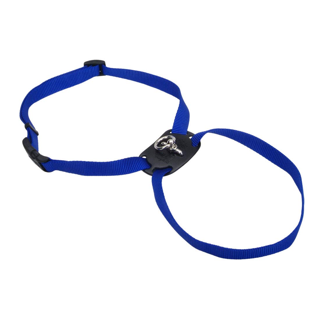 Coastal Pet Size Right Adjustable Dog Harness - Small & Big Dog Harness - Comfortable Dog Training Harness - Includes Snap-Lock Buckle - Quality Dog Supplies - Blue, 5/8' X 18-24'