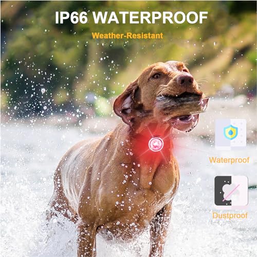 Tubasion 3-Pack Dog Lights For Night Walking, Upgraded 8 Modes Rechargeable Dog Collar Lights For Nighttime Clip On, Ip66 Waterp